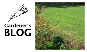 Gardener'BLOG